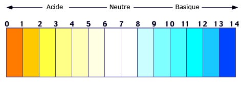Equilibre acido-basique Ph