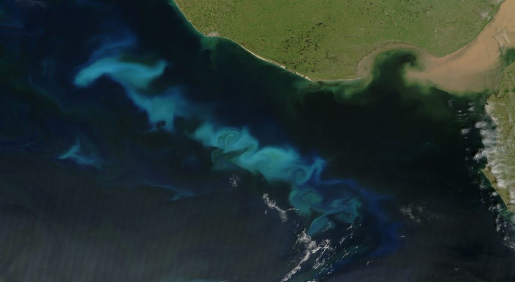 Vortex planctonique - Eau de Quinton - Plasma marin