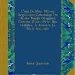 L'eau de Mer - Milieu Organique