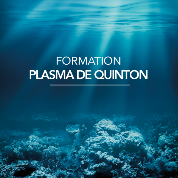 Formation Plasma Marin de Quinton