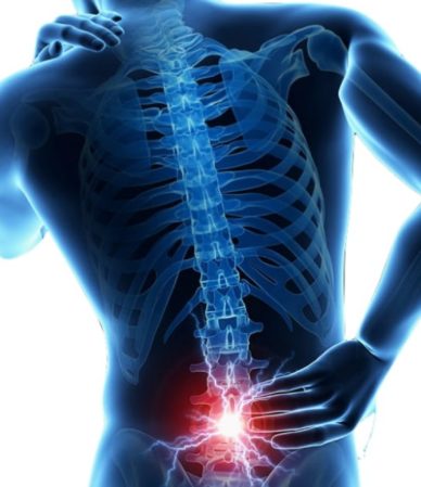 Plasma Marin pour les discopathies